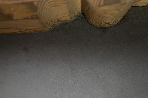 Sumpfkalkschicht Detail Sumpfkalkschicht Detail